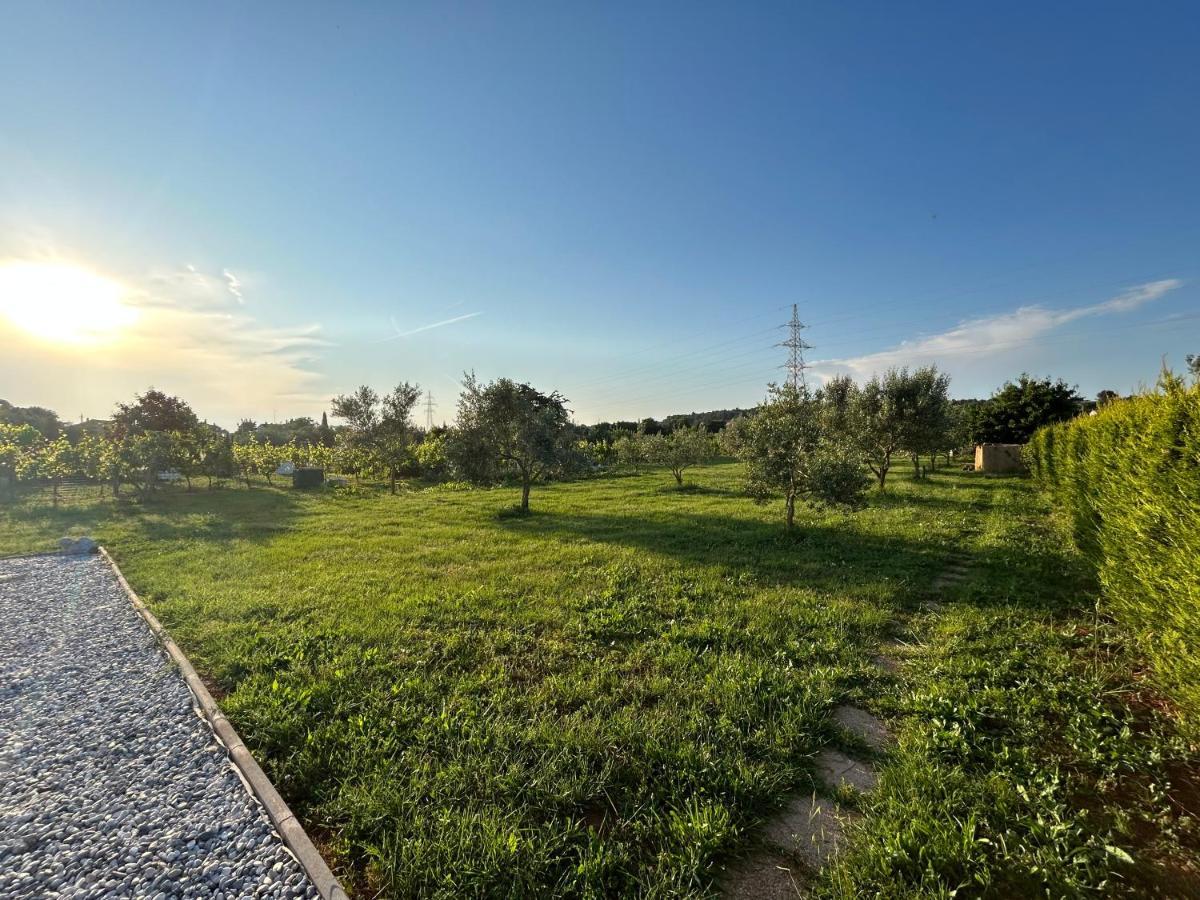 Vila Dora House With Wifi And Outdoor Swimming Pool Pula Exteriér fotografie